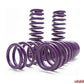 D2 Racing Pro Series Lowering Springs Tesla Model 3 2017+ - The Nitro Forge