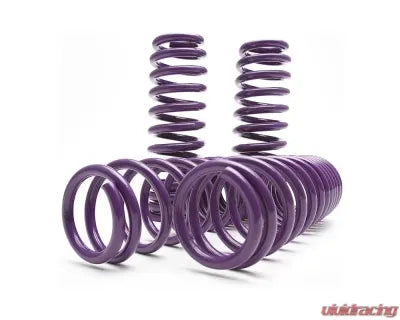 D2 Racing Pro Series Lowering Springs Tesla Model 3 2017+ - The Nitro Forge